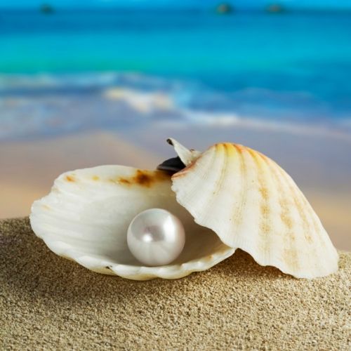 How are pearls formed in the body of a seashell?